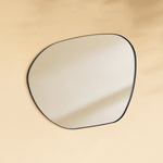 Bertlinde Modern Irregular Wall Mirrors GC-0Y102 Black 30x22" TEHOME