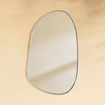 TEHOME Bertlinde Modern Irregular Wall Mirrors in Brushed Nickel finish, 30"x22"