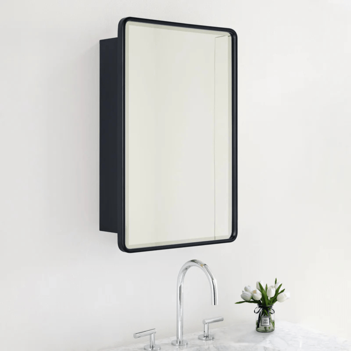 Bryand Farmhouse Rectangle Surface Mount Bathroom Medicine Cabinet with Mirrors GC-00766 Black 16x24" TEHOME