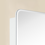 Claytin Modern Rectangle Frameless Recessed and Surface Mount Bathroom Medicine Cabinet with Mirrors GC-TC0019 White 20x30" TEHOME
