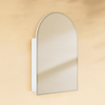 Emra Modern Arch Frameless Recessed and Surface Mount Bathroom Medicine Cabinet with Mirrors GC-TC0022 White 20x30" TEHOME