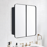 Haxhere Modern Rectangle Recessed and Surface Mount Bathroom Medicine Cabinet with Mirrors, Double Door, 26x30" in Black GC-00563 TEHOME