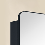 Haxhere Modern Rectangle Recessed and Surface Mount Bathroom Medicine Cabinet with Mirrors, Double Door, 26x30" in Black GC-00563 TEHOME