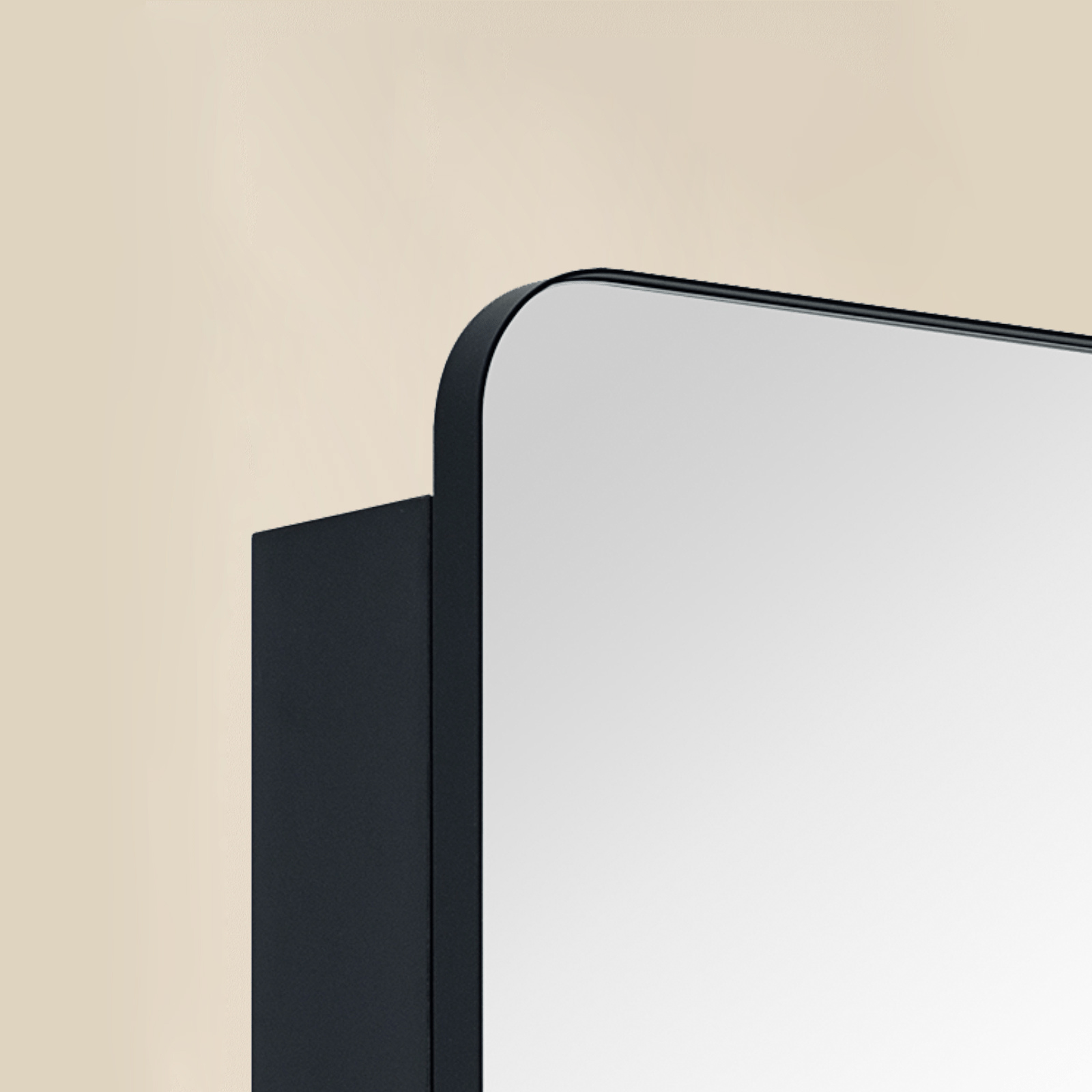 Haxhere Modern Rectangle Recessed and Surface Mount Bathroom Medicine Cabinet with Mirrors, Double Door, 26x30" in Black GC-00563 TEHOME