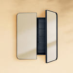 Haxhere Modern Rectangle Recessed and Surface Mount Bathroom Medicine Cabinet with Mirrors, Double Door, 26x30" in Black GC-00563 TEHOME