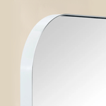 Josilyn Mid - Century Rectangle Wall Mirrors with Rounded Corners GC-0Y009 Black 22x30" TEHOME