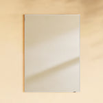 TEHOME Kessie 20x28" Chrome Modern Rectangle Bathroom Mirrors Front View