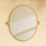 Luecinda Farmhouse Oval Bathroom Pivot Mirrors GC-00318 Brushed Gold 19x24" TEHOME