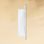 Marlawe Minimalism Irregular Frameless Surface Mount Bathroom Medicine Cabinet with Mirrors GC-XB0026 20x30" TEHOME