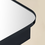 Ronelda Modern Rectangle Recessed and Surface Mount Bathroom Medicine Cabinet with Mirrors, Triple Door, 36x26" in Black GC-00737 TEHOME