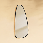 Trequan Modern Irregular Wall Mirrors GC-XY002 Black 50x22.5" TEHOME