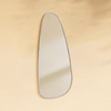 Trequan Modern Irregular Wall Mirrors GC-XY005 Brushed Nickel 40x18" TEHOME